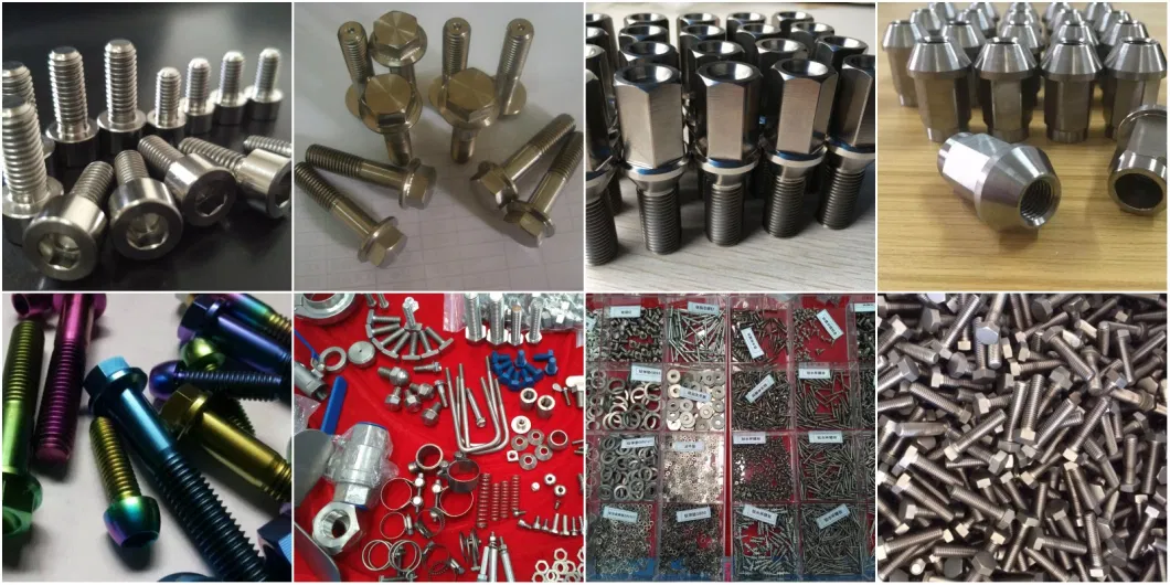 M10 M12 Titanium Screws Bolt and Titanium Fasteners